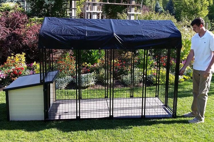 How Often Do You Need to Perform Maintenance on a Tarp Dog Kennel?