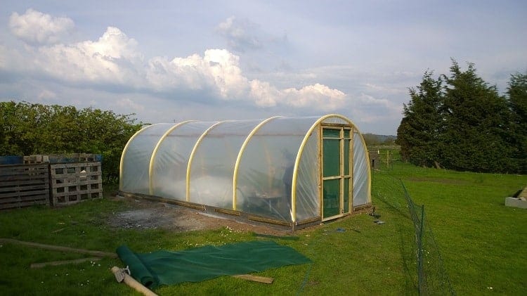 How Long do Greenhouse Tarps Last?