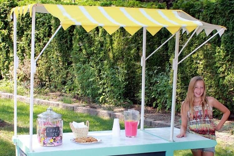 Lemonade Stand for Kids