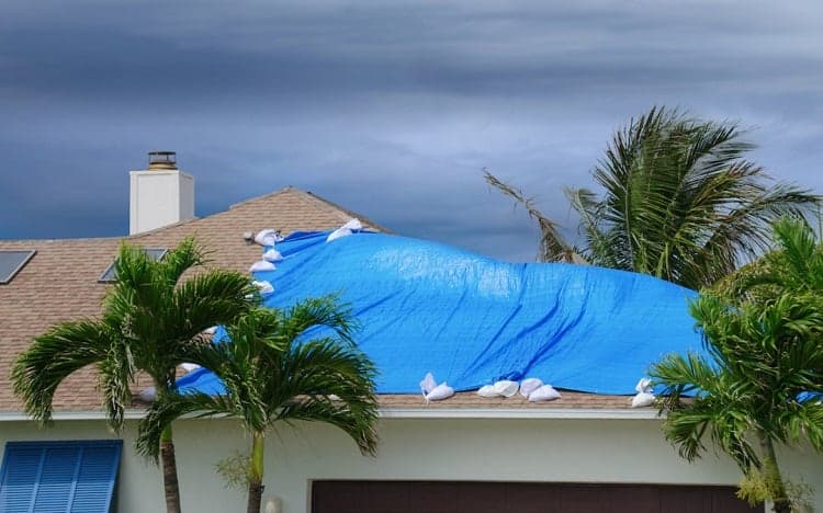 How Long do Hurricane Tarps Last?